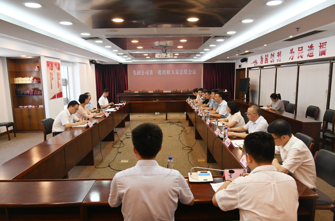 乐动在线注册(中国)有限公司党委召开第一批挂职人员总结会议